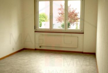 Immeuble de 8 appartements avec balcon, terrain à bâtir et magnifique vue à Courtemaîche