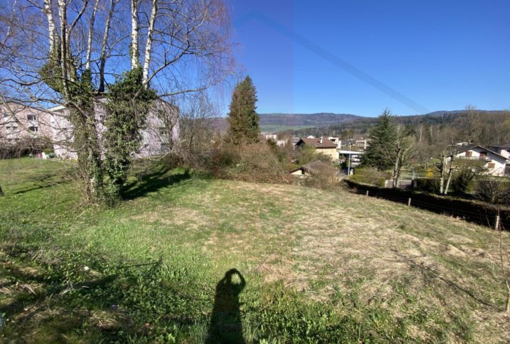 Terrain à bâtir dans zone villa à Bassecourt