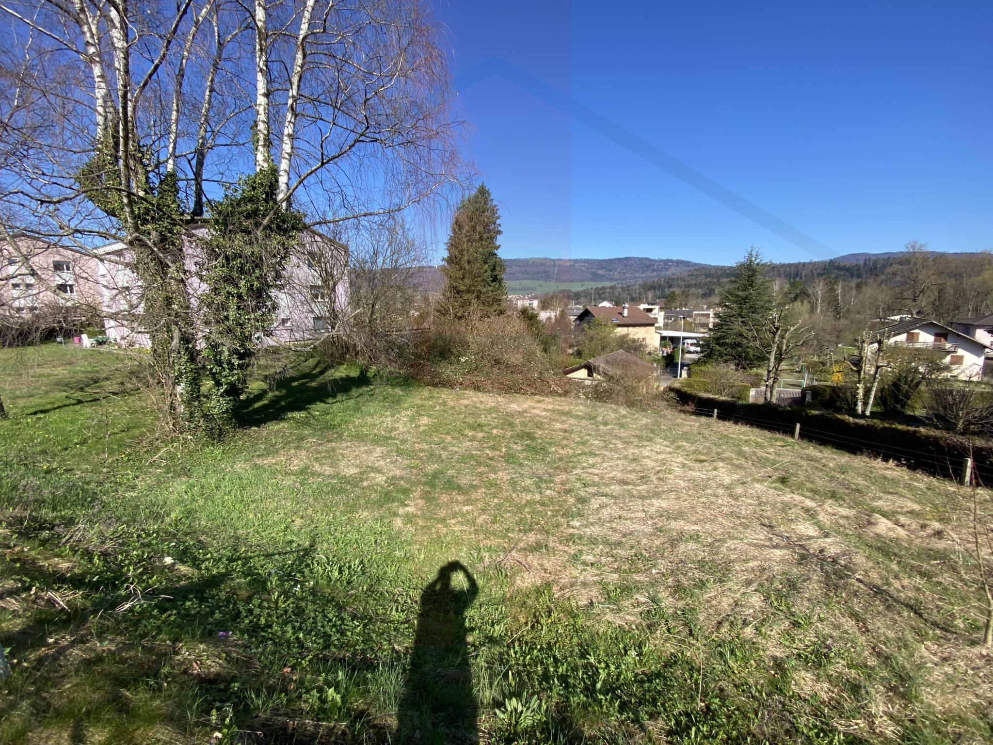 Terrain à bâtir dans zone villa à Bassecourt