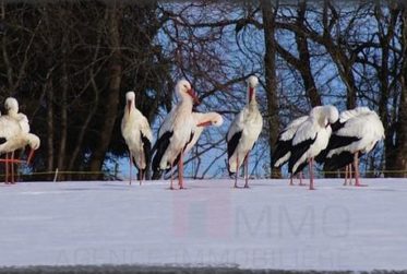Jolie maison à vendre à proximité de Porrentruy