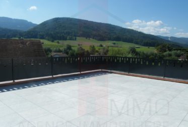 Bel immeuble de 5 appartements