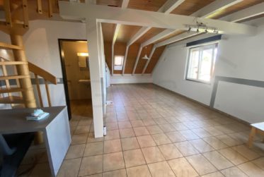 Appartement en duplex avec balcon