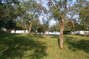 Terrain à bâtir dans un endroit calme et dégagé